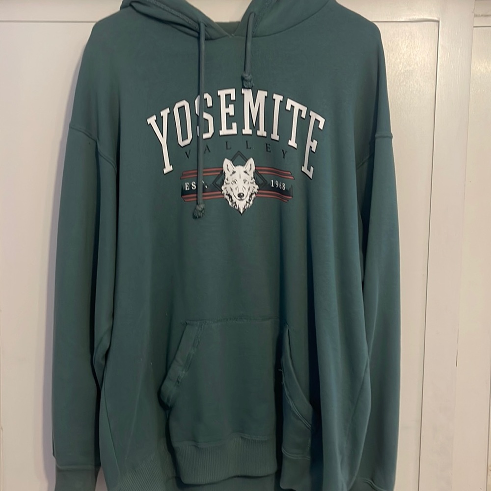 Hollister Hoodie